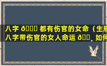 八字 💐 都有伤官的女命（生辰八字带伤官的女人命运 🌸 如何）